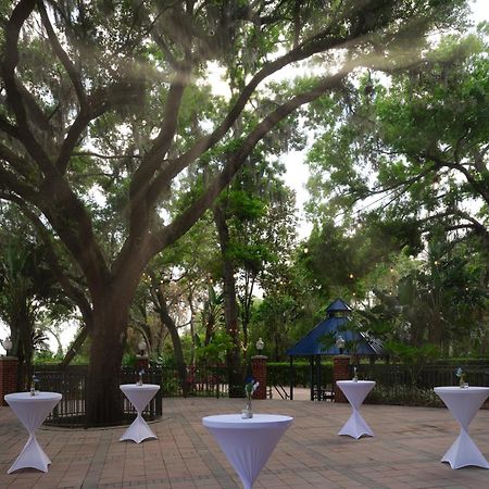 Hilton Garden Inn Tampa East Brandon Dış mekan fotoğraf