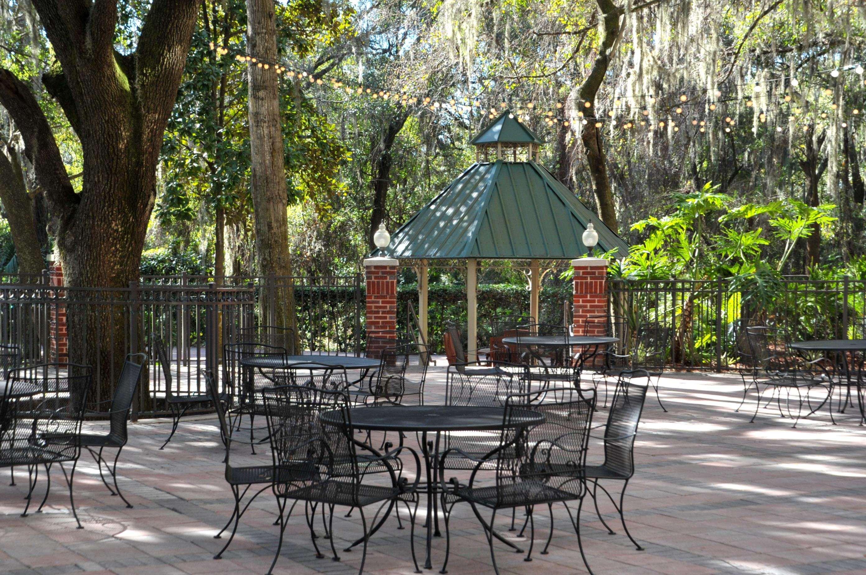 Hilton Garden Inn Tampa East Brandon Dış mekan fotoğraf