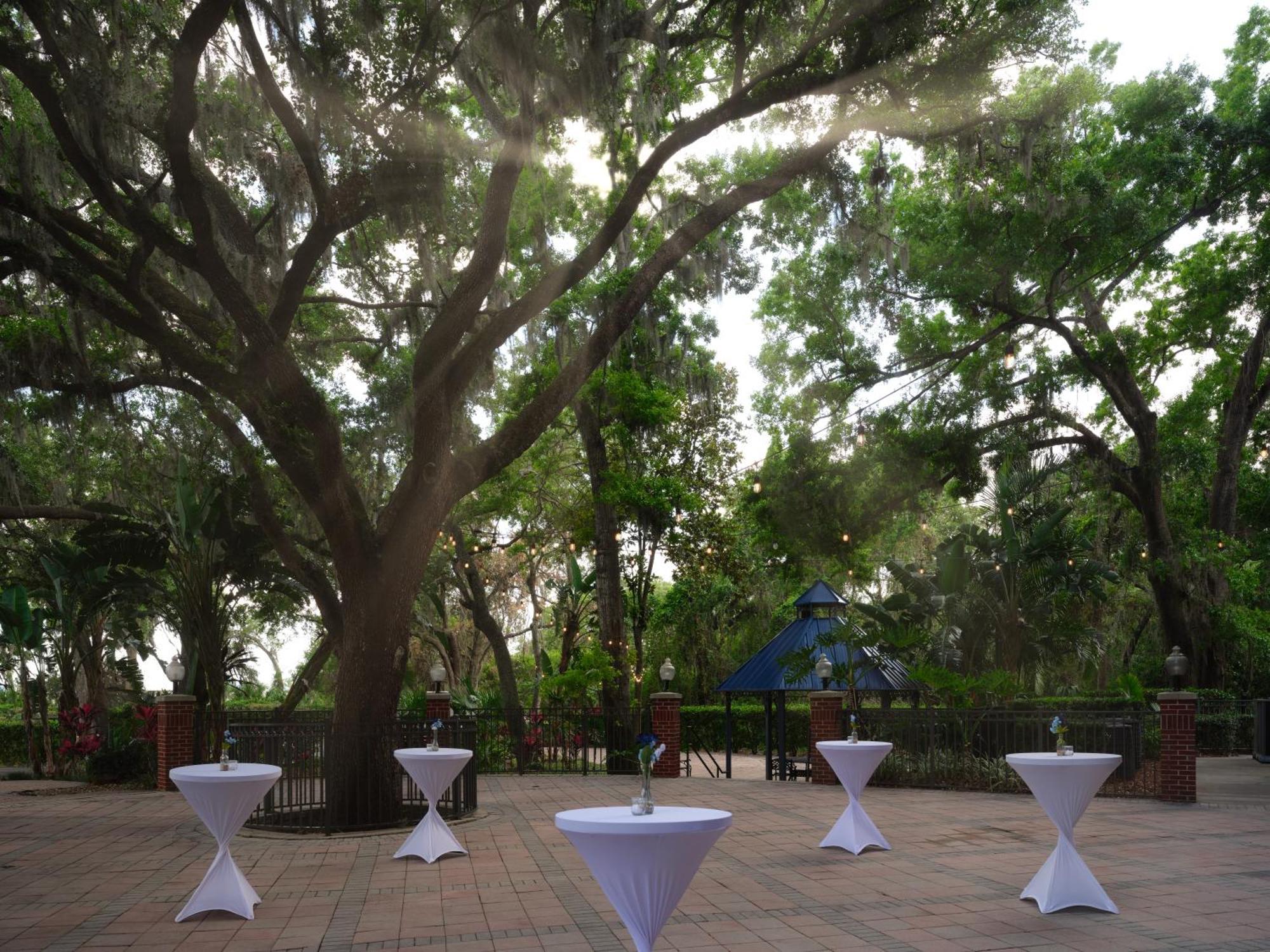 Hilton Garden Inn Tampa East Brandon Dış mekan fotoğraf